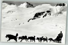 3801 Jungfraujoch Winter Hunde- Schlitten Polarhunde Aletschgletscher