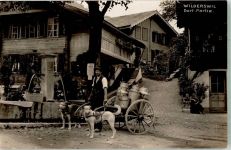 3812 Wilderswil Foto AK Hundekarren Dorfpartie