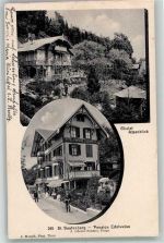 3803 Beatenberg Foto AK Pension Edelweis Chalet Alpenblick