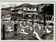 9400 Rorschach 1959 Foto AK Hafen Schwäne Bodensee
