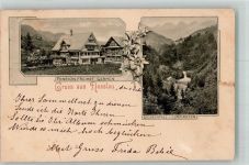 9650 Nesslau 1902 Gebrauchsspuren Pension Freihof Germen Giessefall