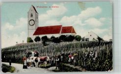 8215 Hallau 1909 Gebrauchsspuren Wein - Ernte Kirche