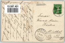 9650 Nesslau 1910 Foto AK Pension Alpenblick