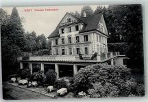6353 Hertenstein 1910 Foto AK Pension Hertenstein