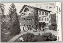 6045 Meggen 1917 Foto AK Pension Schönau