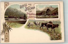 9000 St. Gallen S. Gallo Lithographie Tanner auf der Buchau Sewald mit Buchstein
