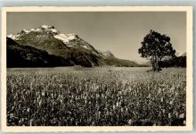 7515 Sils/Segl Baselgia Foto AK Piz della Margan