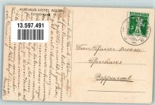 8272 Ermatingen 1916 Foto AK Hotel Pension zum Adler