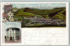 8840 Einsiedeln 1900 Lithographie Gasthaus zum Freihof Kloster