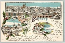 1000 Lausanne Losanna 1900 Winterlithographie Schloss Kathedrale Vögel mit Glimmerauflage Neujahr