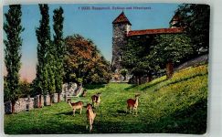 8640 Rapperswil SG 1933 Foto AK Schloss Hirschpark