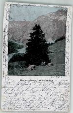 3715 Adelboden BE 1903 Foto AK Schermtanne