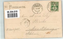 8200 Schaffhausen Sciaffusa 1903 Lithographie Rheinfall Schloss Liebespaar