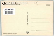 4000 Basel Bâle Foto AK Ausstellung Grün 80