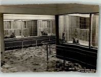 Das neue Raubtierhaus Zoo 1936 Foto AK