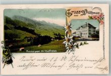 9658 Wildhaus 1904 Lithographie Gasthaus zum Wilhlem Tell