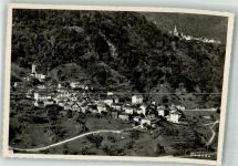 6659 Camedo Foto AK