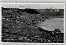 1091 Grandvaux Le Tronchet Foto AK Lac Léman Weinterrassen von Lavaux