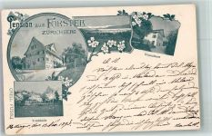 Zürichberg 1898 Foto AK Pension zum Förster Zürichberg