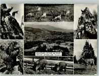 9000 St. Gallen S. Gallo Foto AK Wildpark Peter und Paul