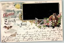 8000 Zürich 1897 Lithographie Eule Fledermaus Mondschein