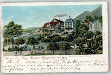 6300 Zug Zugo 1903 Lithographie Pension Guggitahl