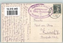 9658 Wildhaus 1919 Foto AK Gasthaus Pension Schönenboden