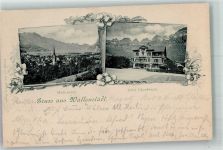 8880 Walenstadt 1899 Foto AK Hotel Churfirsten Bahnpost Zug 9218 Nr. 28