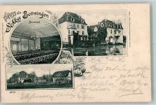 4103 Bottmingen 1904 Foto AK Schloss Bottmingen