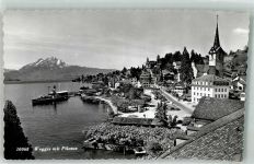 6353 Weggis 1956 Foto AK