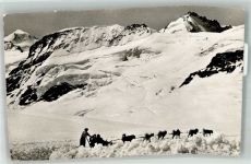 3801 Jungfraujoch 1958 Winter Hundeschlitten Polarhunde