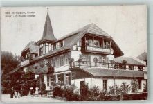 3175 Flamatt 1917 Foto AK Hotel du Moléson