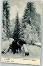 1000 Lausanne Losanna 1905 Winter Winterstudie im Wald Ort lt. Stempel