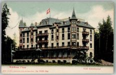 Flims 1906 Foto AK Hotel Schweizerhaus Waldhaus