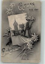 5400 Baden 1908 Gebrauchsspuren Blumen Enzian
