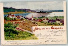 3235 Erlach 1899 Lithographie / Künstlerkarte sign. Pagnard, E.