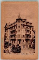 Flims 1933 Foto AK Hotel Walther und des Alpes Waldhaus