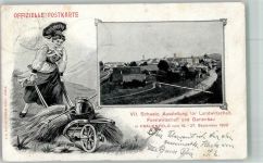 8500 Frauenfeld Sonderstempel VII. schweiz. Ausstellung für Landwirtschaft Forstwirtschaft und Gartenbau 1903 Tracht Bäuerin