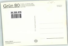 4000 Basel Bâle Foto AK Ausstellung Grün 80