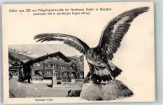 8575 Bürglen TG FOTO KEINE AK Gasthaus Adler Denkmal Adler