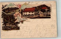 8000 Zürich 1898 Lithographie Gasthaus Baldernhöhe