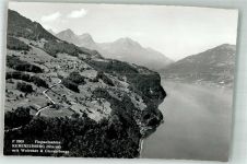 8757 Filzbach Foto AK Fliegeraufnahme Walensee Glarnerberge Kerenzerberg