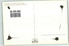 8757 Filzbach Foto AK Fliegeraufnahme Walensee Glarnerberge Kerenzerberg