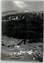 7459 Stierva Foto AK