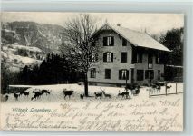 Langnau Wilpark Langenberg im Winter - Verlag Künzli Nr. 6900 AK Zoo 1902