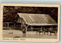 Winterthur Bruderhaus Wildpark Zoo 1914 Gebrauchsspuren