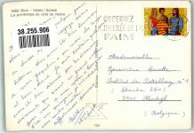 1950 Sion Sitten 1987 Foto AK