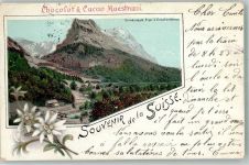 Grindelwald 1904 Lithographie Eiger Viescherhörner Edelweiß Werbung Schkolade Maestrani