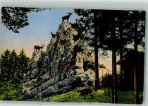 St. Gallen S. Gallo Steinbockfelsen im Wildpark Peter u. Paul Steinböcke Zoo 1922