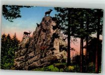 St. Gallen S. Gallo Steinbockfelsen im Wildtierpark Peter u. Paul P.Z. b 2913 Zoo